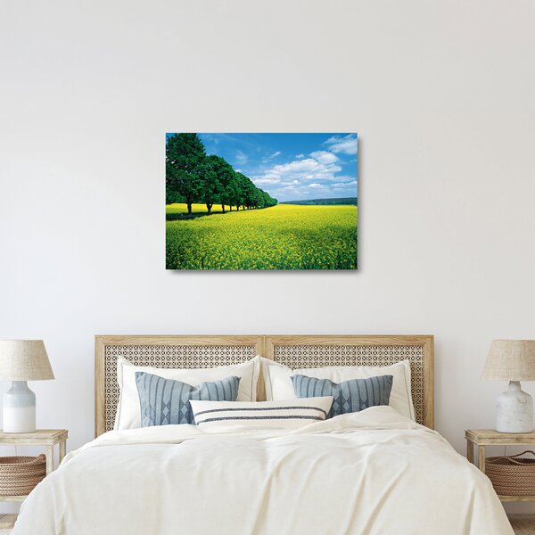 Staklena slika polja z alejo (70x50 cm)