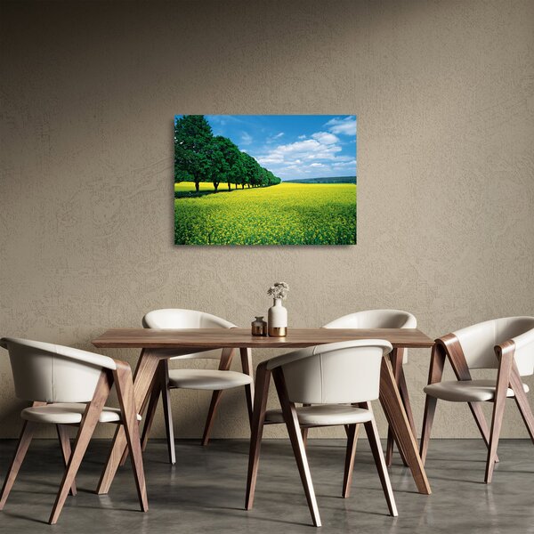 Staklena slika polja z alejo (70x50 cm)