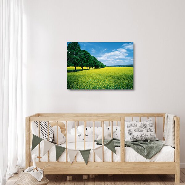 Staklena slika polja z alejo (70x50 cm)
