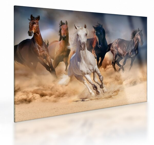 Staklena slika - Konji v puščavi (70x50 cm)