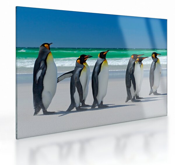 Staklena slika - Skupina kraljevih pingvinov (70x50 cm)