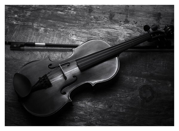 Staklena slika - Viola (70x50 cm)
