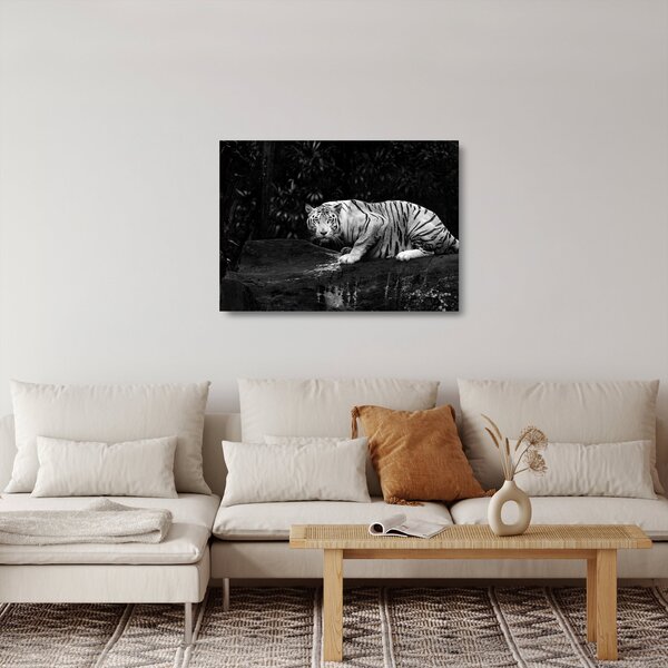 Staklena slika - Albino tiger, črno-bela (70x50 cm)