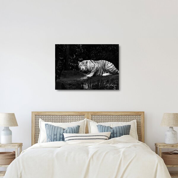 Staklena slika - Albino tiger, črno-bela (70x50 cm)