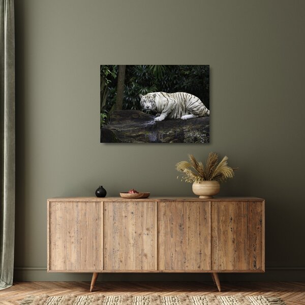 Staklena slika - Albino tiger (70x50 cm)