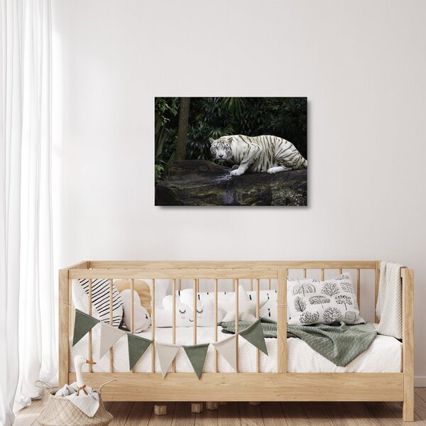 Staklena slika - Albino tiger (70x50 cm)