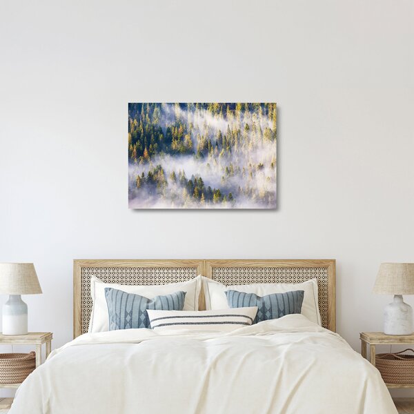 Staklena slika dreves v megli (70x50 cm)