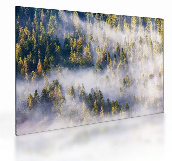 Staklena slika dreves v megli (70x50 cm)