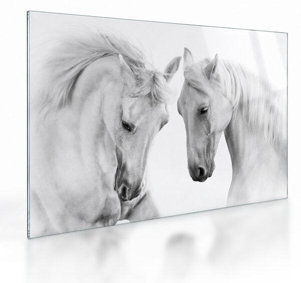 Staklena slika belih konjev (70x50 cm)