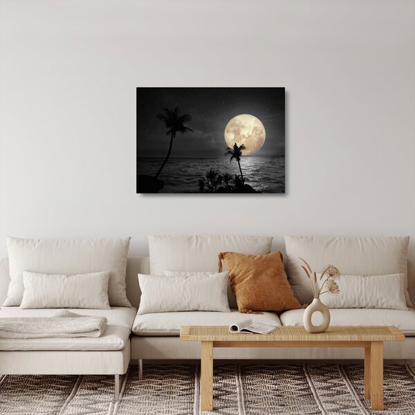 Staklena slika - Plaža pod polno luno v sivih tonih (70x50 cm)