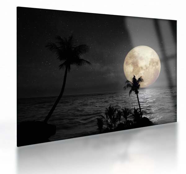 Staklena slika - Plaža pod polno luno v sivih tonih (70x50 cm)