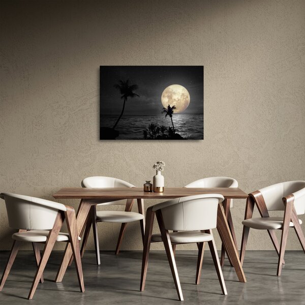 Staklena slika - Plaža pod polno luno v sivih tonih (70x50 cm)
