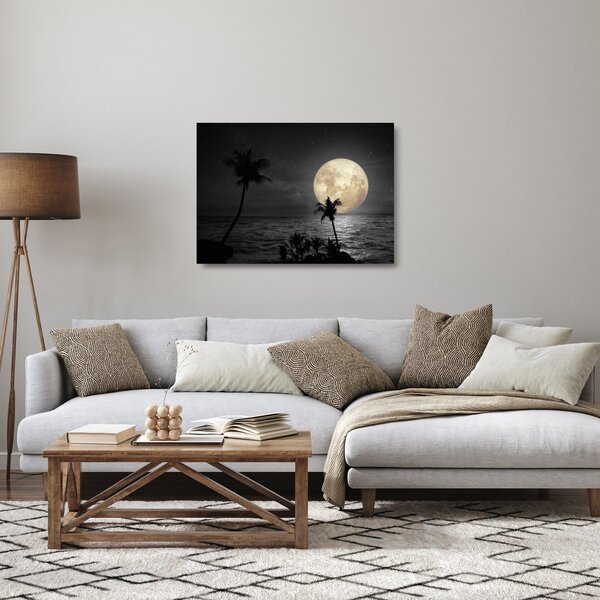 Staklena slika - Plaža pod polno luno v sivih tonih (70x50 cm)