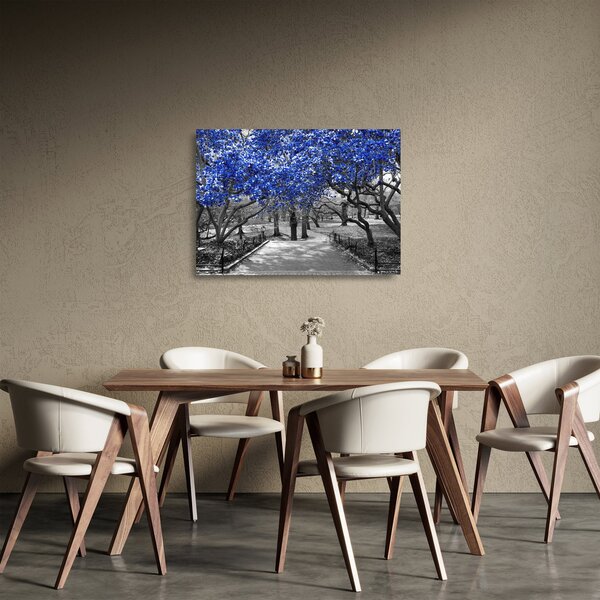 Staklena slika - Modra drevesa, Central Park, New York (70x50 cm)