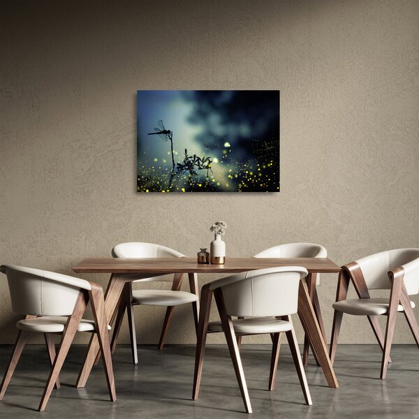 Staklena slika - Kačji pastir v bleščeči noči (70x50 cm)