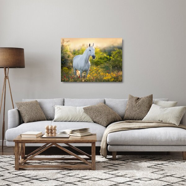 Staklena slika belega konja na travniku (70x50 cm)