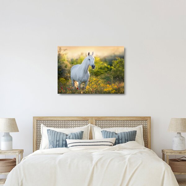 Staklena slika belega konja na travniku (70x50 cm)
