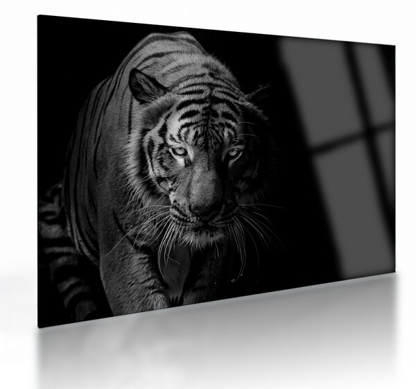 Staklena slika divjega tigra (70x50 cm)