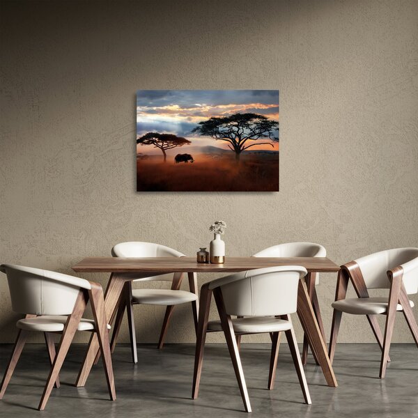 Staklena slika - Nacionalni park Serengeti, Tanzanija, Afrika (70x50 cm)