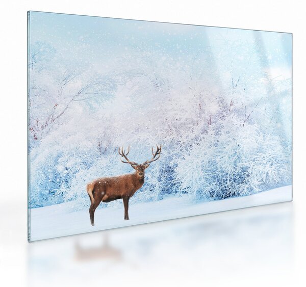 Staklena slika veličastnega jelena (70x50 cm)