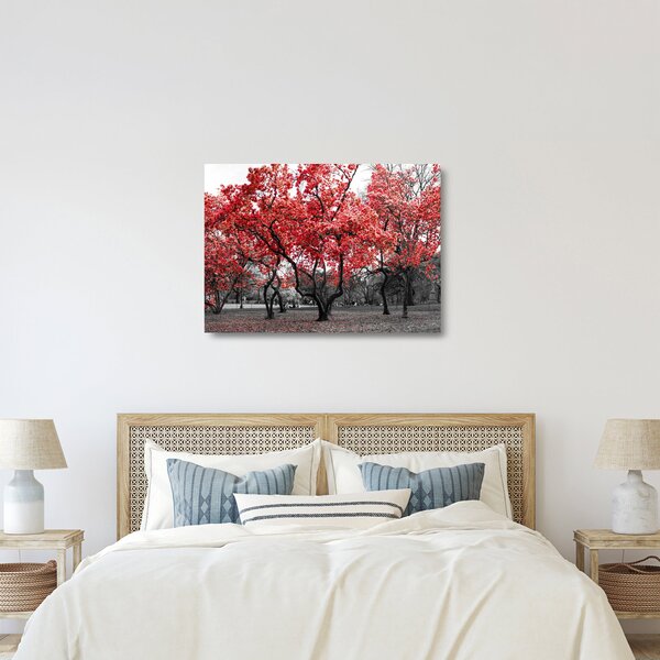 Staklena slika - Rdeča drevesa, Central Park, New York (70x50 cm)
