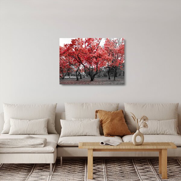 Staklena slika - Rdeča drevesa, Central Park, New York (70x50 cm)