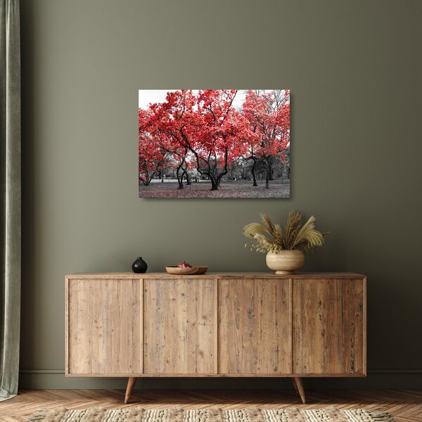 Staklena slika - Rdeča drevesa, Central Park, New York (70x50 cm)
