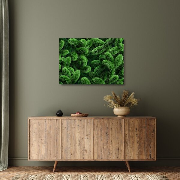 Staklena slika - Vejice iglavcev (70x50 cm)