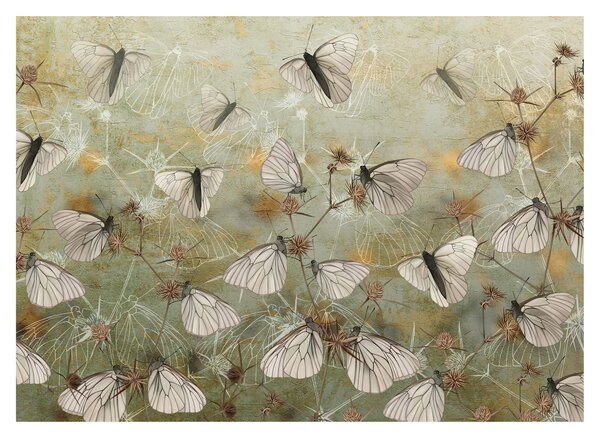 Staklena slika - Vintage metulji (70x50 cm)