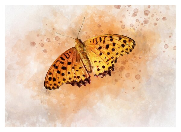 Staklena slika - Oranžni metulj, akvarel (70x50 cm)