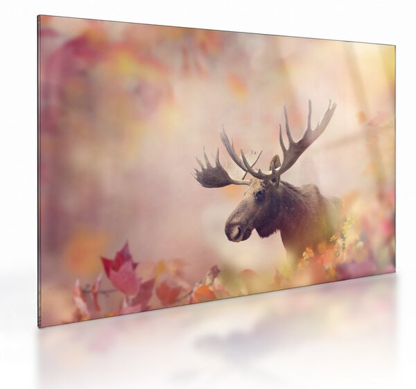 Staklena slika - Gozd v jesenskem listju (70x50 cm)