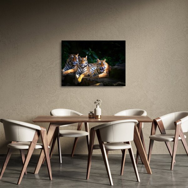 Staklena slika - Tiger bratje (70x50 cm)