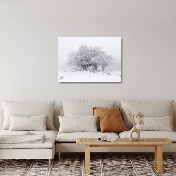 Staklena slika - Bela zima (70x50 cm)