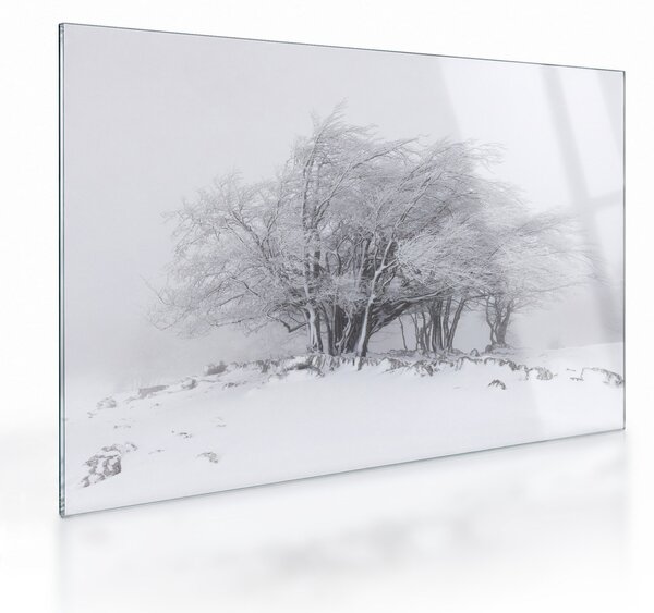 Staklena slika - Bela zima (70x50 cm)