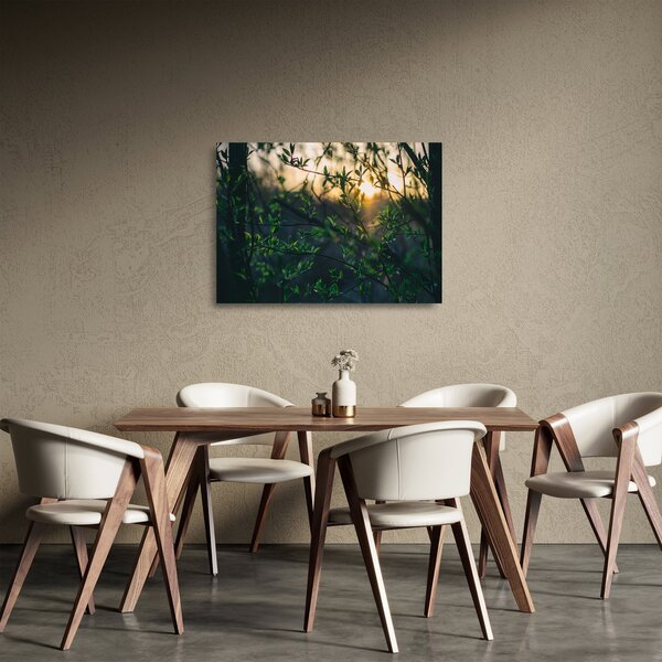 Staklena slika sunca koje sja kroz grančice drveća (70x50 cm)