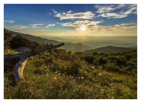 Staklena slika - Pogled na okolicu (70x50 cm)