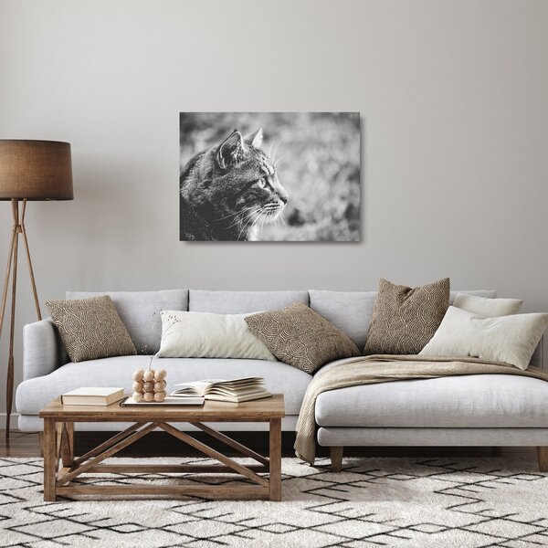 Staklena slika - Mačka (70x50 cm)