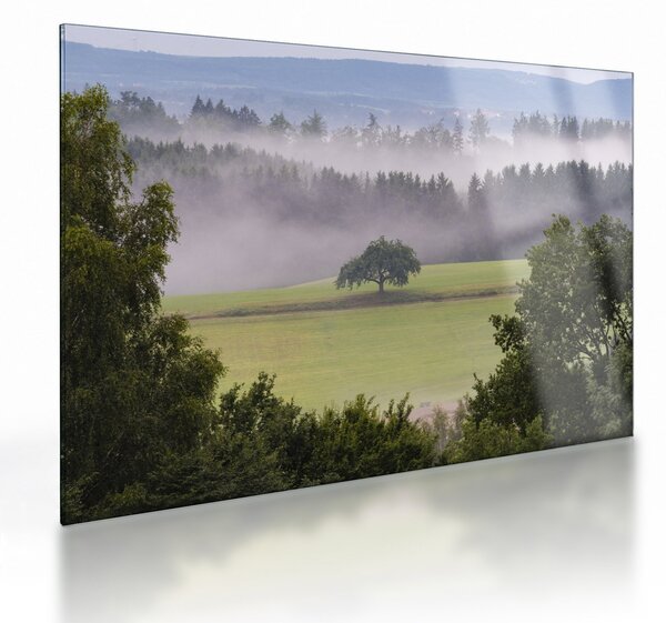 Staklena slika livade sa stablom (70x50 cm)