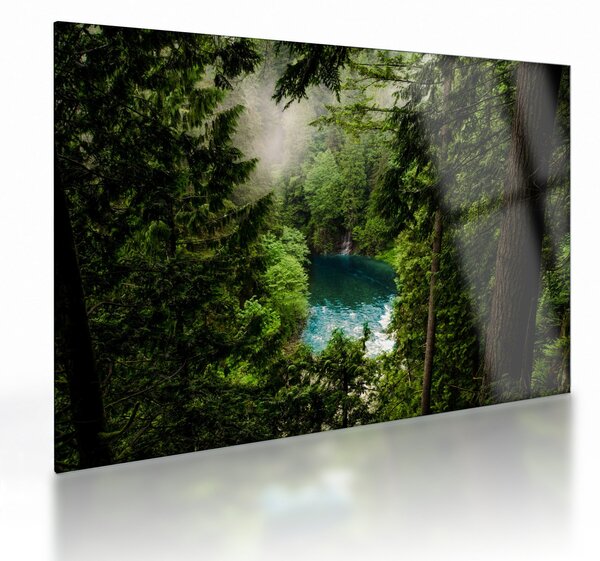 Staklena slika - Pogled između stabala (70x50 cm)