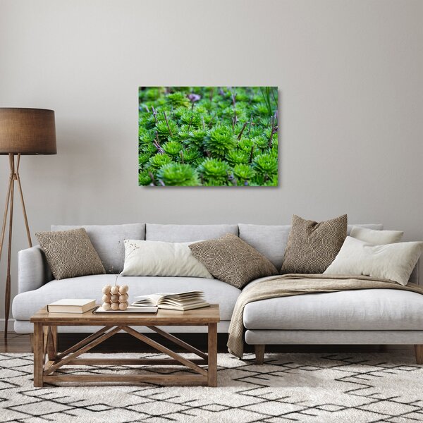 Staklena slika sukulenata (70x50 cm)