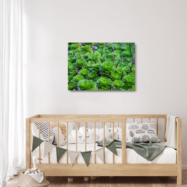 Staklena slika sukulenata (70x50 cm)