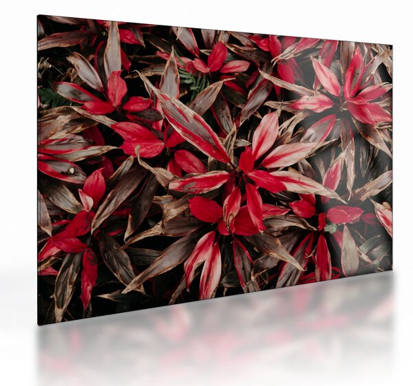 Staklena slika crvenih latica (70x50 cm)
