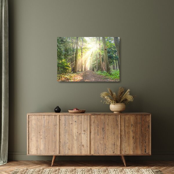 Staklena slika staze u šumi (70x50 cm)
