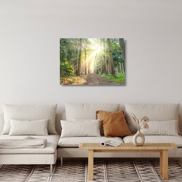 Staklena slika staze u šumi (70x50 cm)
