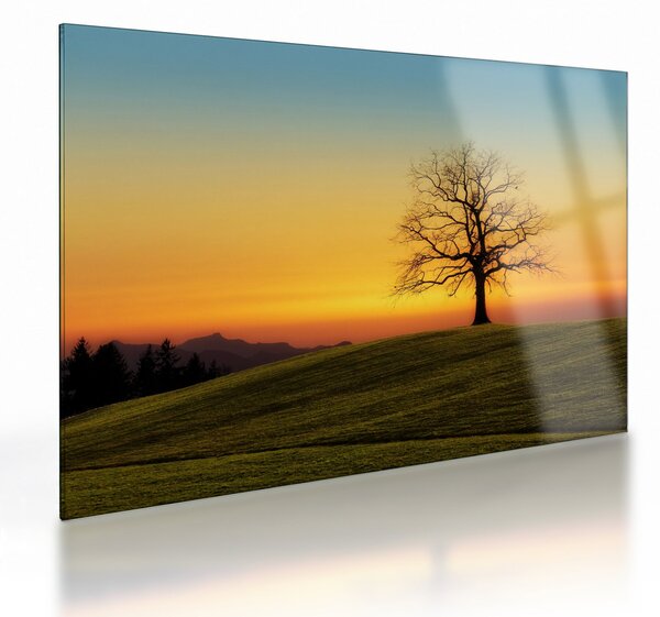 Staklena slika stabla u polju (70x50 cm)
