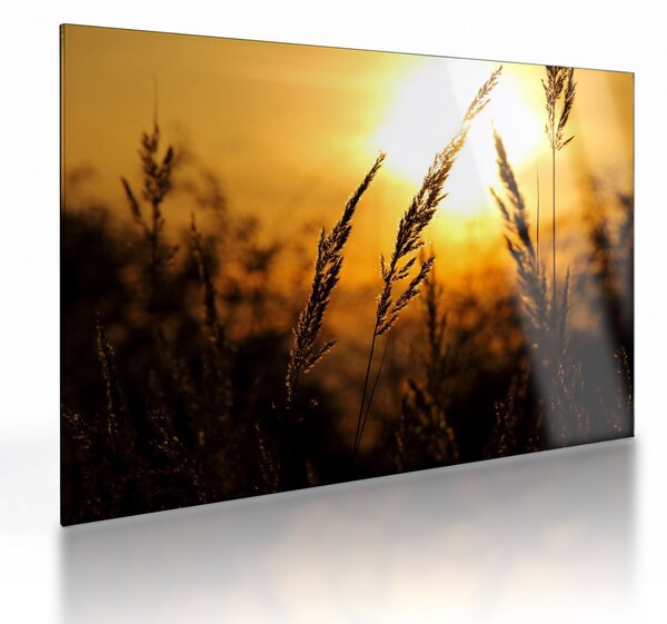 Staklena slika zalazećeg sunca (70x50 cm)