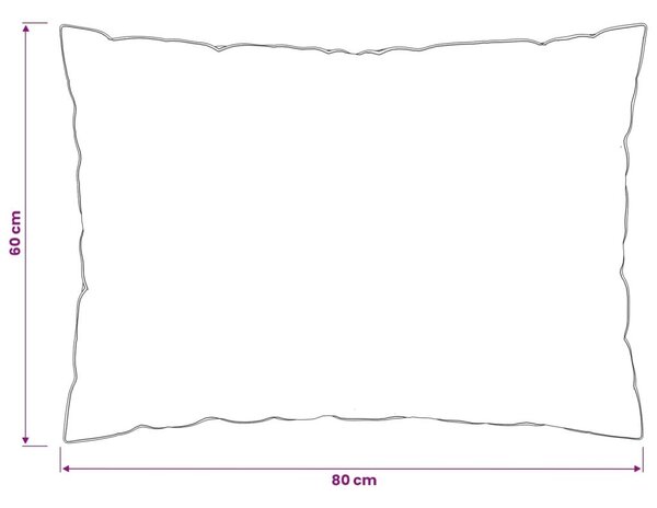 Jastuk FULDA 2 kom. 60 x 80 cm 100% gusja dol i perje Bijela - 60 x 80 cm 2