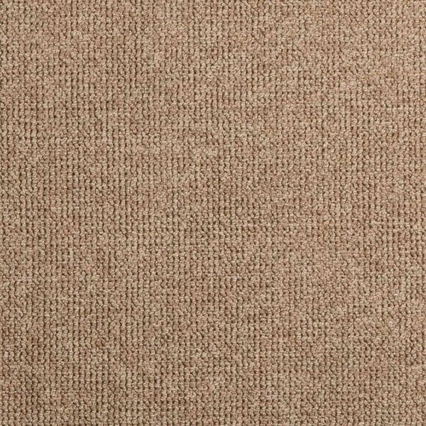 Tepih za unutarnju i vanjsku uporabu AGIRA Prirodna 200 x 80 cm - 80 x 200 cm Uzorak petlje
