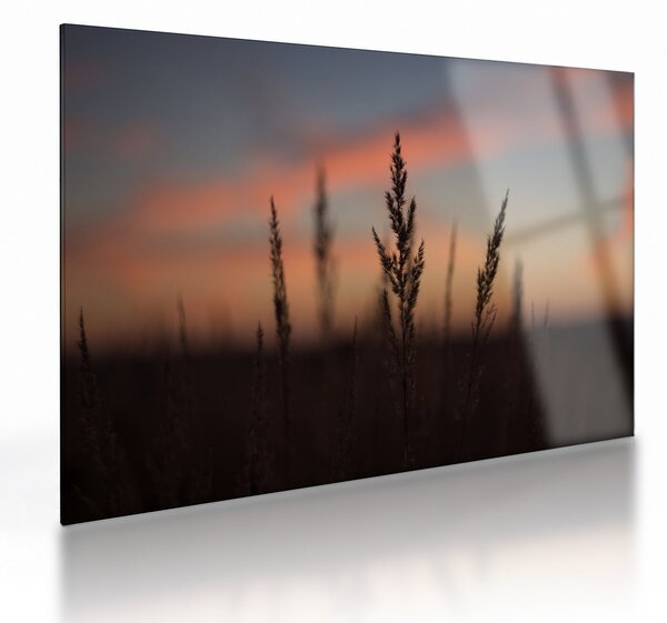 Staklena slika - Silueta biljke (70x50 cm)