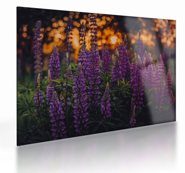 Staklena slika cvjetova lupine (70x50 cm)
